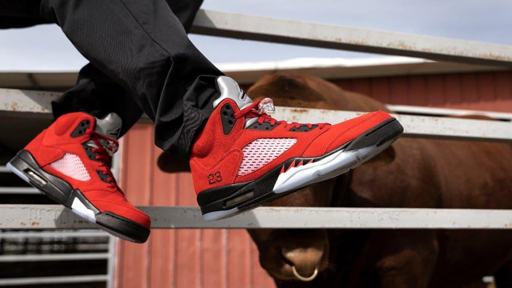 Jordan 5 Toro Bravo Men's