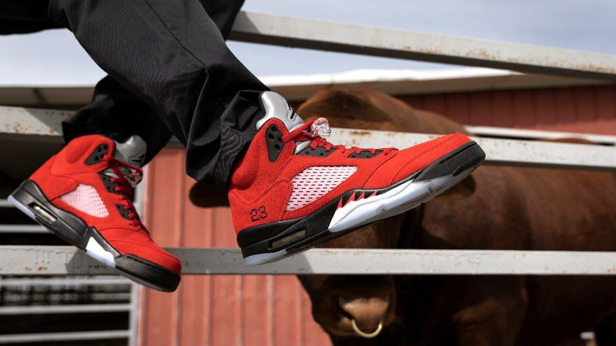 Jordan 5 Toro Bravo Men's