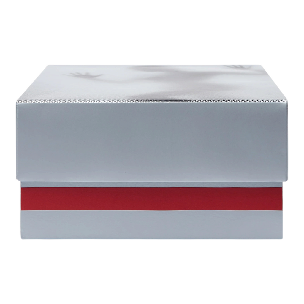 FLEX SHOP Jordan 14 Retro Mowalola sneaker box in silver with a bold burnt red stripe and graphic lid detail