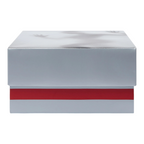 FLEX SHOP Jordan 14 Retro Mowalola sneaker box in silver with a bold burnt red stripe and graphic lid detail