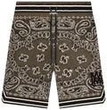 Amiri Shorts Bandana Green