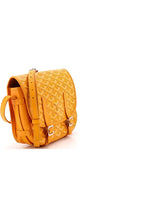 Goyard Belvedere Messenger Bag Coated Canvas with Leather PM Pre-Owned